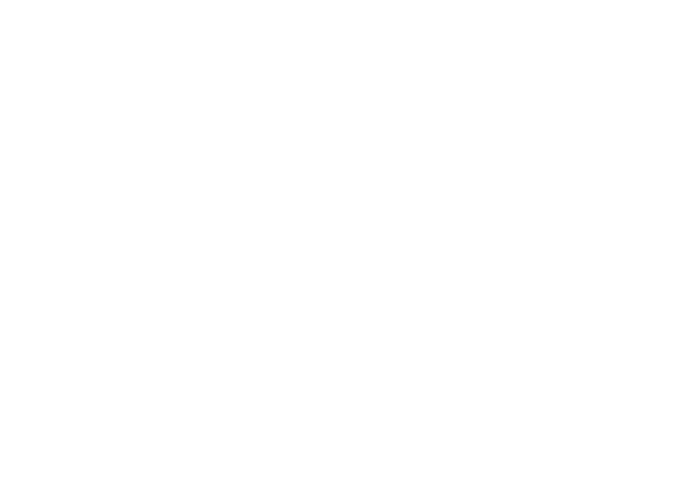 Mentor Positive Impact