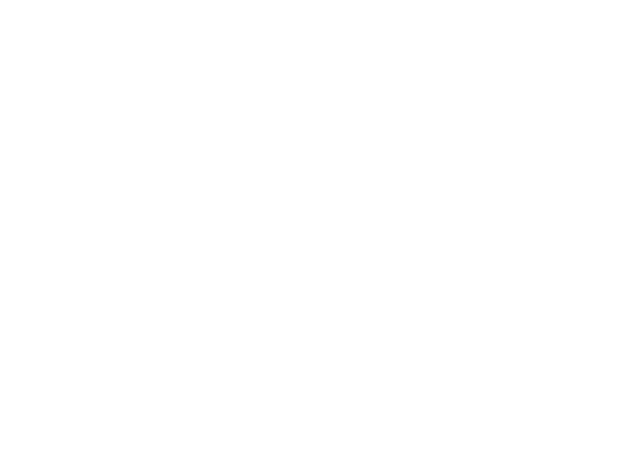 Total Mentoring Hours