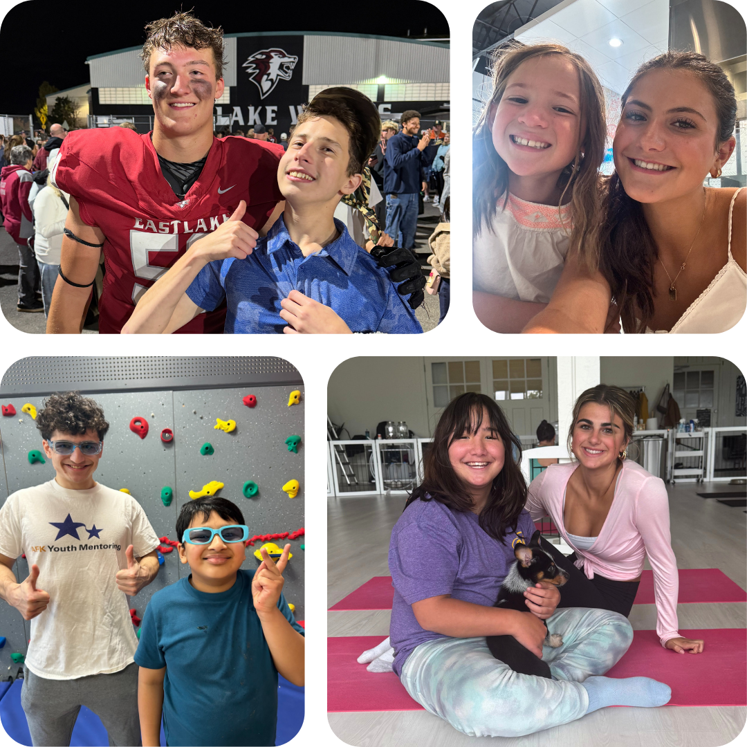 Mentor Collage 2025